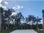 An RV site surrounded by trees - thumbnail