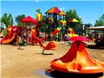 Colorful play structures on the playground - thumbnail