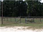 The fenced in dog park - thumbnail
