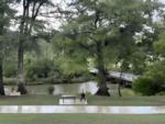 A picnic table and grill by the river at River Trail Cottages & RV Park - thumbnail