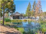 The pond and rec hall - thumbnail