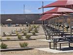 Shaded tables by the RV sites - thumbnail