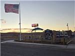 Flag at the park - thumbnail