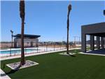 Grassy area by the pool - thumbnail