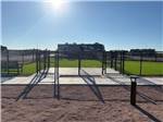Enclosed dog park - thumbnail