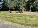 An RV site with picnic table and fire ring - thumbnail