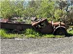 An old red truck - thumbnail