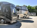 Big rig motorhomes at Dino Valley RV Park - thumbnail