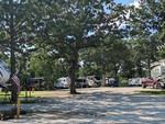 Shady sites at Loto RV Park - thumbnail