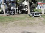 Grassy area by the RV sites at Edson Lions Park Campground - thumbnail