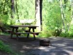 Panic table at Riffe Lake Campground - thumbnail