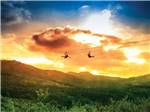Zipliners at sunset - thumbnail