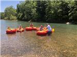 A group of people on innertubes - thumbnail