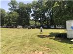 A grassy area near the boat rentals - thumbnail