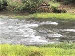 Grassy area near the water - thumbnail
