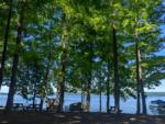 Tables and chairs under trees by the lake - thumbnail