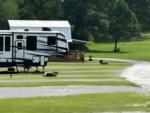RV parked in a site - thumbnail