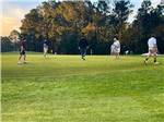 Men playing golf - thumbnail