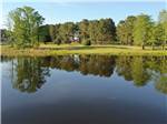 Trees reflecting on the pond - thumbnail
