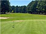 A flag hole marker on the golf course - thumbnail
