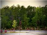RV sites near a forest setting - thumbnail