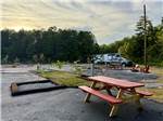 A picnic table at a paved site - thumbnail