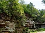 Trees on the side of a rock formation - thumbnail