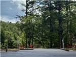 RV site, trees and blue sky - thumbnail