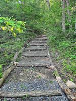 A walking trail through the woods at Wilderness Cove Campground - thumbnail