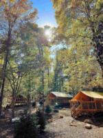 Cabin's at site Wilderness Cove Campground - thumbnail