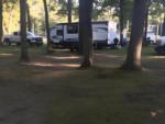 RV parked in a shaded site - thumbnail