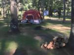 A tent in a shady site - thumbnail