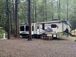 RV driving through trees at Sleepy Hollow Campground - thumbnail