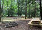 Picnic table and fire ring in a campsite - thumbnail