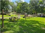 Tent camping area with picnic tables - thumbnail