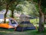 Tent's at site Yellowstone Hot Springs Resort - thumbnail