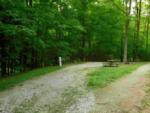 Open RV space at site Stetson's Tumble Hill Campground - thumbnail
