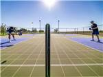 The pickleball court - thumbnail