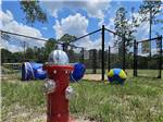 Toys inside the dog park - thumbnail