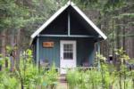 A cabin surrounded by trees and ferns - thumbnail