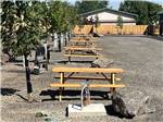 A row of RV sites with picnic tables - thumbnail