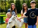A family petting a donkey - thumbnail