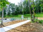 The enclosed dog park - thumbnail