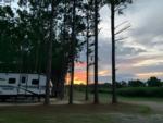 Parked RV at American Robin RV Park & Bird Sanctuary - thumbnail