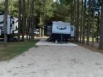 Parked RV at American Robin RV Park & Bird Sanctuary - thumbnail
