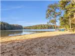 The sandy banks of the lake - thumbnail
