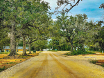 A road leading to the park at Arrow RV Park - thumbnail