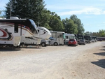 A row of RVs at Mountain View RV Park and Guest Motel - thumbnail