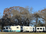 A row of RVs at The Barn RV Park - thumbnail