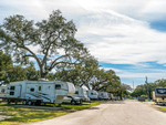 Row of sites at Plantation Oaks RV Park - thumbnail